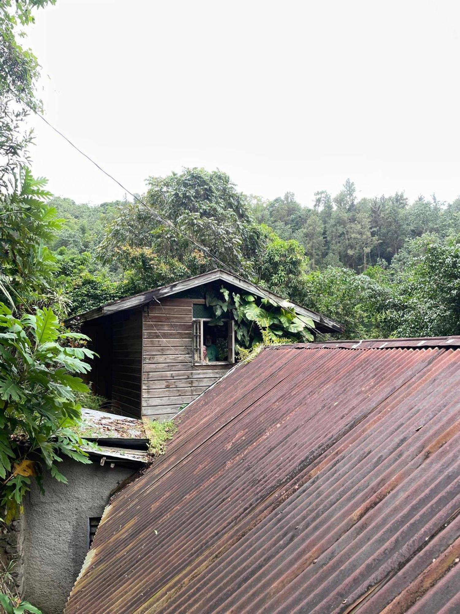 Dustry Cottages คิงส์ตัน ภายนอก รูปภาพ